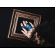 Hoshibako Works Glazed Butterfly Ring and Hair Clip(Limited Pre-Order/Full Payment Without Shipping)